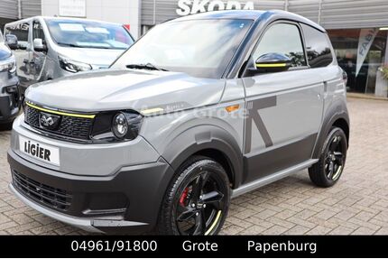Ford Andere 