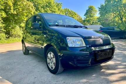 Fiat Panda Gebrauchtwagen