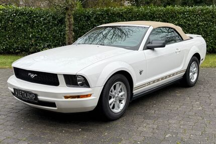 Ford Mustang Gebrauchtwagen