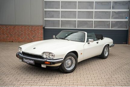 Jaguar XJS Gebrauchtwagen