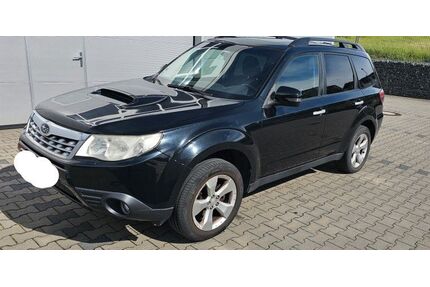 Subaru Forester Gebrauchtwagen