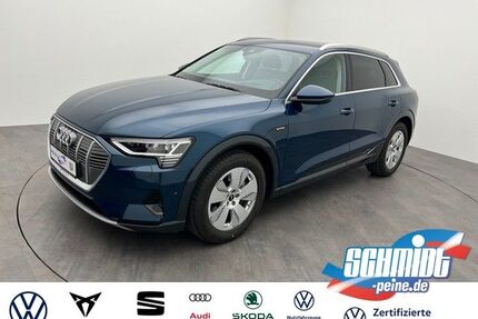 Audi e-tron Gebrauchtwagen
