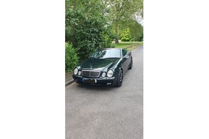 Mercedes-Benz CLK 430 Gebrauchtwagen