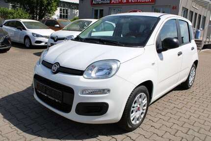 Fiat Panda Gebrauchtwagen