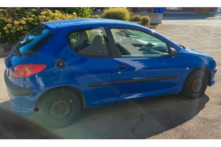 Peugeot 206 Gebrauchtwagen