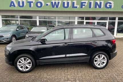 Skoda Karoq Gebrauchtwagen