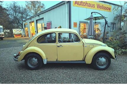 VW Käfer Gebrauchtwagen