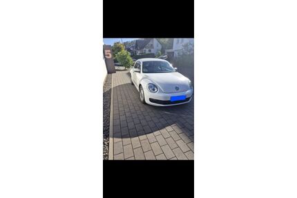 VW Beetle Gebrauchtwagen