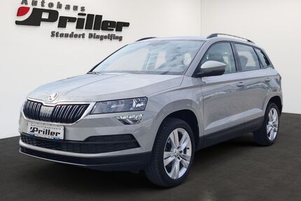 Skoda Karoq Gebrauchtwagen