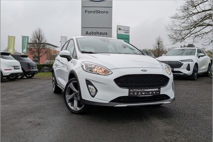 Ford Fiesta Gebrauchtwagen