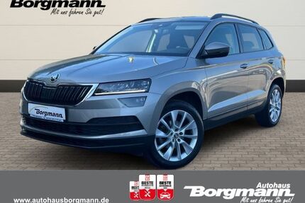 Skoda Karoq Gebrauchtwagen