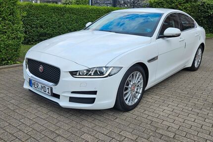 Jaguar XE Gebrauchtwagen
