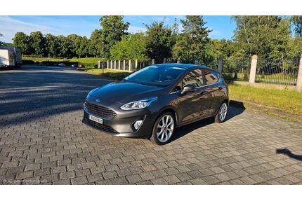 Ford Fiesta Gebrauchtwagen