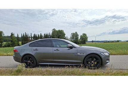 Jaguar XF Gebrauchtwagen