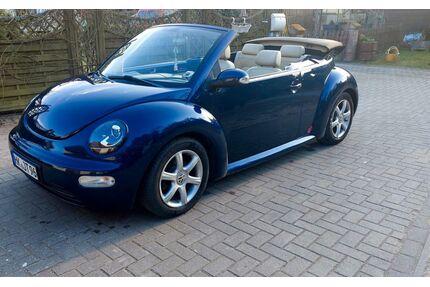 VW Beetle Gebrauchtwagen