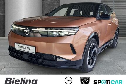 Opel Grandland (X) Gebrauchtwagen