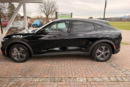 Ford Mustang Mach-E Gebrauchtwagen