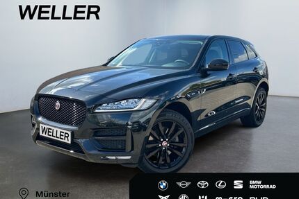 Jaguar F-Pace Gebrauchtwagen