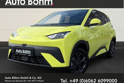 BYD DOLPHIN SURF Gebrauchtwagen