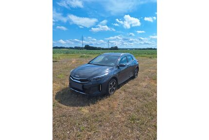 Kia XCeed Gebrauchtwagen