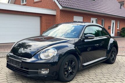 VW Beetle Gebrauchtwagen