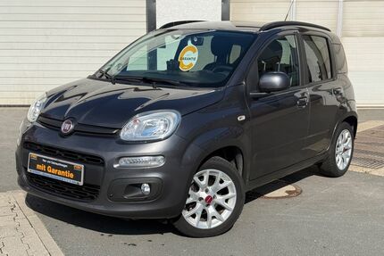 Fiat Panda Gebrauchtwagen