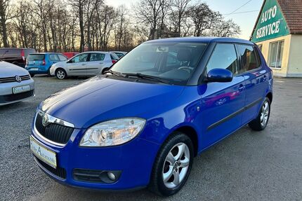 Skoda Fabia Gebrauchtwagen