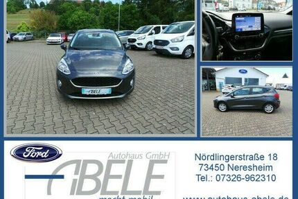 Ford Fiesta Gebrauchtwagen