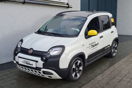 Fiat Panda Gebrauchtwagen
