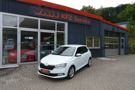 Skoda Fabia Gebrauchtwagen