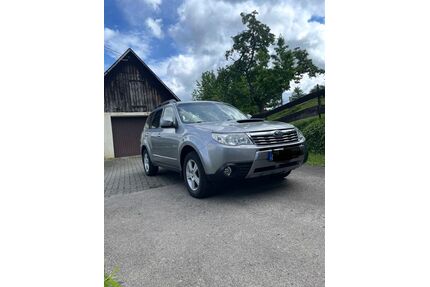 Subaru Forester Gebrauchtwagen