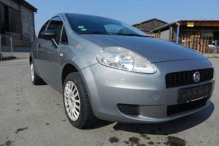 Fiat Punto Gebrauchtwagen
