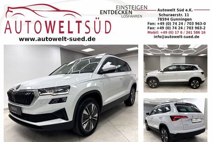 Skoda Karoq Gebrauchtwagen