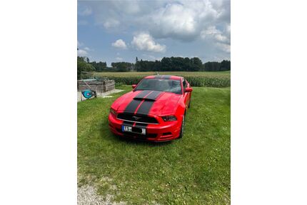 Ford Mustang Gebrauchtwagen