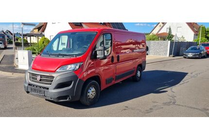 Fiat Ducato Gebrauchtwagen