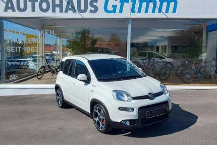 Fiat Panda Gebrauchtwagen