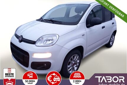 Fiat Panda Gebrauchtwagen