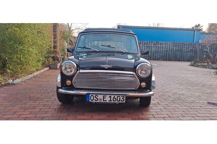 Rover Andere Gebrauchtwagen