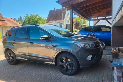 Ford Kuga Gebrauchtwagen