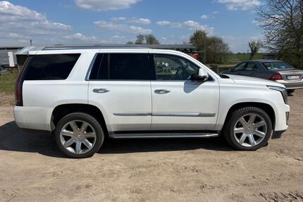 Cadillac Escalade Gebrauchtwagen