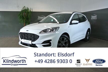 Ford Kuga Gebrauchtwagen