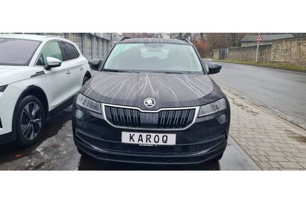 Skoda Karoq Gebrauchtwagen
