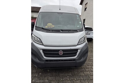 Fiat Ducato Gebrauchtwagen