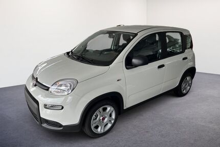 Fiat Panda Gebrauchtwagen