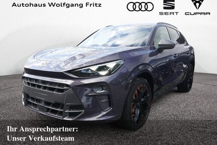 Cupra Terramar Gebrauchtwagen