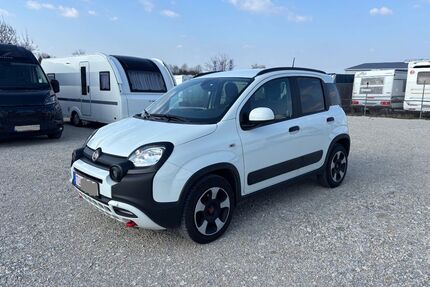 Fiat Panda Gebrauchtwagen