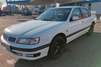 Nissan Maxima Gebrauchtwagen