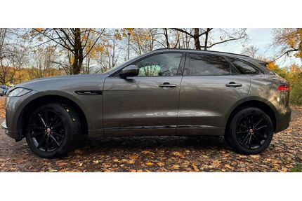 Jaguar F-Pace Gebrauchtwagen