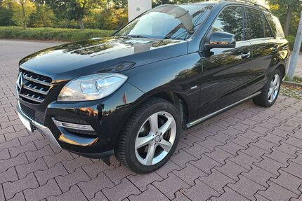 Mercedes-Benz ML 250 Gebrauchtwagen