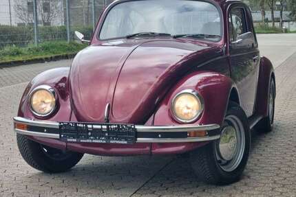 VW Käfer Gebrauchtwagen